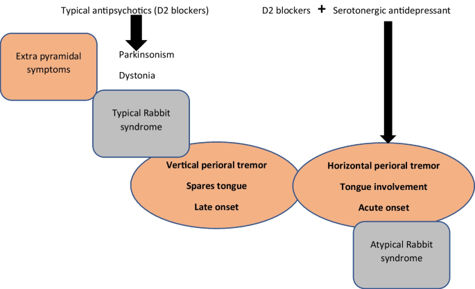 Atypical extrapyramidal manifestation of a typical antipsychotic with serotonergic antidepressant.