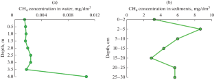 Methane Production in a Temperate Freshwater Lake during an Intense Cyanobacterial Bloom