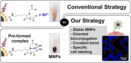 A Simple and Versatile Strategy for Oriented Immobilization of His-Tagged Proteins on Magnetic Nanoparticles