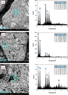 Stability of potentially toxic elements in municipal sludge biochars modified by MgCl2 and phosphate