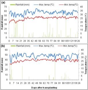 Identification of optimal level of nitrogen fertilizer and tillage practice to reduce nitrous oxide emissions and maximize the nitrogen use efficiency and productivity from tropical rice paddy