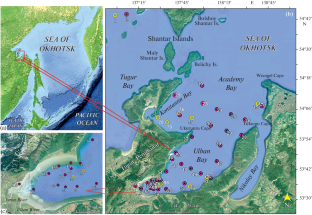 Diatoms in Surface Sediments of the Academy Bay of the Sea of Okhotsk