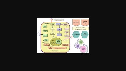 Cyclooxygenase-2 as a therapeutic target against human breast cancer: A comprehensive review.