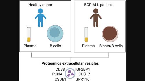 Identifying a core protein signature of small extracellular vesicles derived from B-cell precursor acute lymphoblastic leukaemia