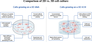 The prospects for bioprinting tumor models: recent advances in their applications