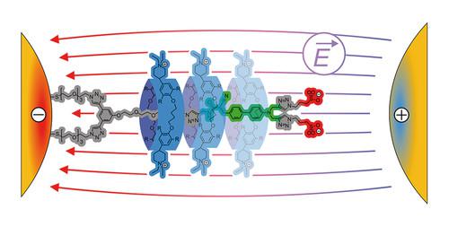 Development of Rotaxanes as E -Field-Sensitive Superstructures in Plasmonic Nano-Antennas