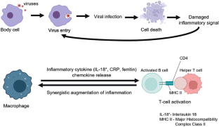 Association of mTOR Pathway and Conformational Alterations in C-Reactive Protein in Neurodegenerative Diseases and Infections.