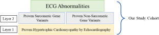 Electrocardiographic Findings in Genotype-Positive and Non-sarcomeric Children with Definite Hypertrophic Cardiomyopathy and Subclinical Variant Carriers.