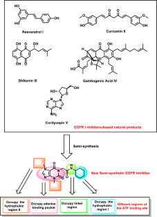 A new anticancer derivative of the natural alkaloid, theobromine, as an EGFR inhibitor and apoptosis inducer