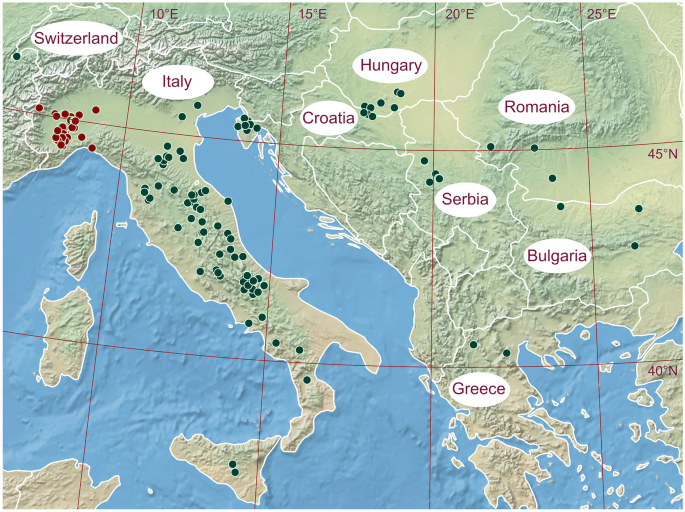 Sustainable cultivation of the white truffle (Tuber magnatum) requires ecological understanding.