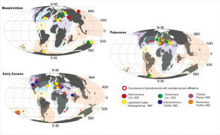 Global palaeobiogeographic distribution patterns of the Cenozoic pleurotomariid gastropods (Family: Pleurotomariidae Swainson, 1840)