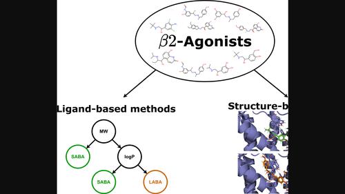 Predicting the duration of action of β2-adrenergic receptor agonists: Ligand and structure-based approaches.