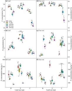 Divergent Controls on Leaf and Root Litter Decay Linking to Soil C, N, and P Pools Under a Subtropical Land-use Change