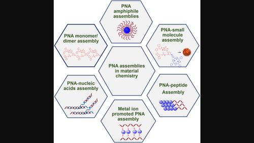 Recent advancements in bionanomaterial applications of peptide nucleic acid assemblies