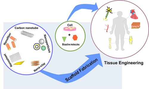 Recent advances in nano-scaffolds for tissue engineering applications: Toward natural therapeutics.