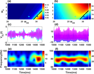 Mutual information resonances in delay-coupled limit cycle and quasi-cycle brain rhythms