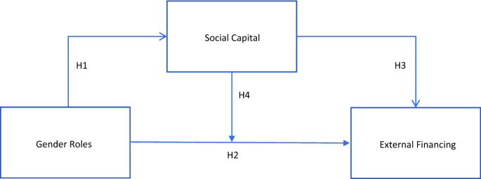Female entrepreneurs' gender roles, social capital and willingness to choose external financing.