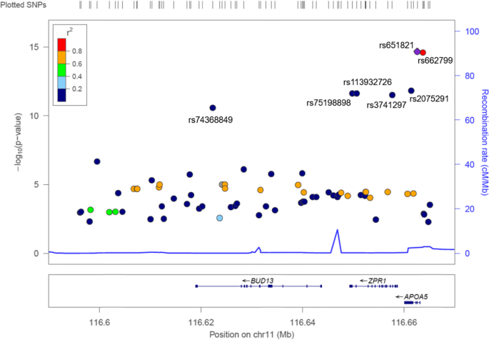 Interactions between red and processed meat consumption and APOA5 gene variants associated with the incidence of metabolic syndrome in Korean adults