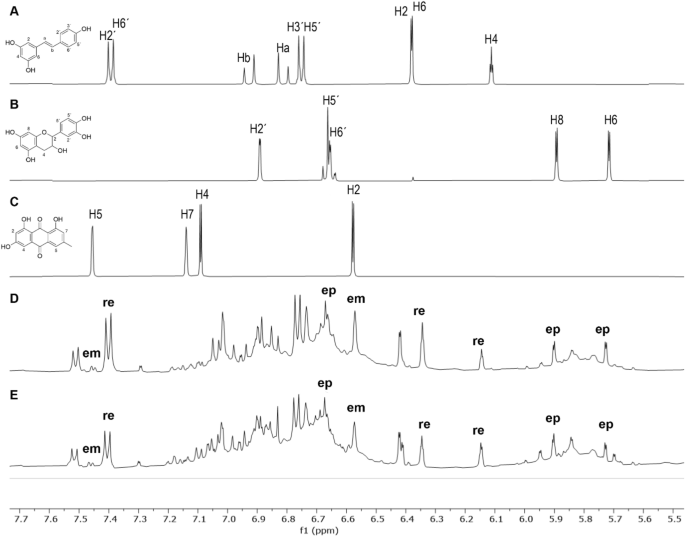 Inhibitory effects of methanol extracts from Fallopia japonica and F. × bohemica rhizomes and selected phenolic compounds on radish germination and root growth