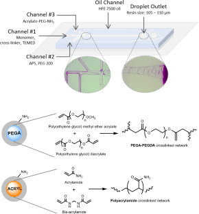 Low-Loaded Polyethylene Glycol (PEG) Resin for High-Purity Peptide Synthesis and Cell Binding Assays