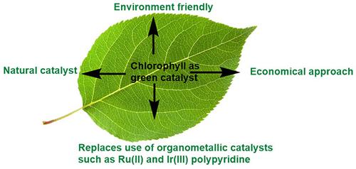 Chlorophyll: A Greener Catalyst in Synthetic Transformations