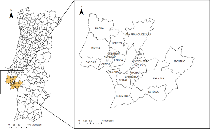 A Stochastic Model of an Early Warning System for Detecting Anomalous Incidence Values of COVID-19