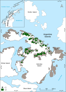 Moss bank composition on Galindez Island (Argentine Islands, maritime Antarctic)