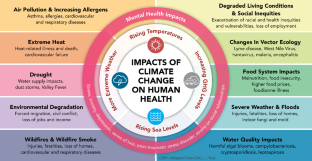 Climate Change, Skin Health, and Dermatologic Disease: A Guide for the Dermatologist