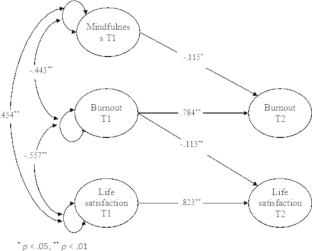 Dispositional Mindfulness, COVID-19 Burnout, and Life Satisfaction: Examining Longitudinal Mediation