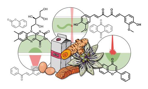 Natural and Naturally Derived Photoinitiating Systems for Light-Based 3D Printing