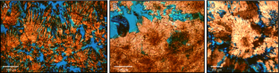 Morphogenesis of crystal fan fabrics of the Wolfenden cool water tufa deposit in western Canada