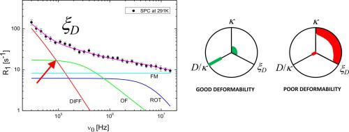 On the deformability of additivated phosphatidylcholine liposomes: Molecular dynamic regimes and membrane elasticity