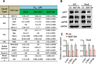 Dual PI3K/HDAC Inhibitor BEBT-908 Exhibits Potent Efficacy as Monotherapy for Primary Central Nervous System Lymphoma.