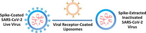 Neutralization of the new coronavirus by extracting their spikes using engineered liposomes