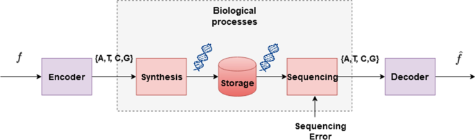 Data and image storage on synthetic DNA: existing solutions and challenges