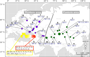 Phylogeography of the stone marten (Martes foina: Mustelidae: Mammalia) in Eurasia, based on a mitochondrial DNA analysis