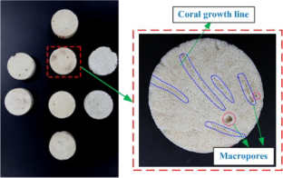 Dynamic mechanical behavior of coral rock subjected to high strain rate loading