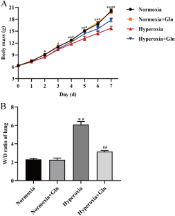 Glutamine inhibits inflammation, oxidative stress, and apoptosis and ameliorates hyperoxic lung injury.