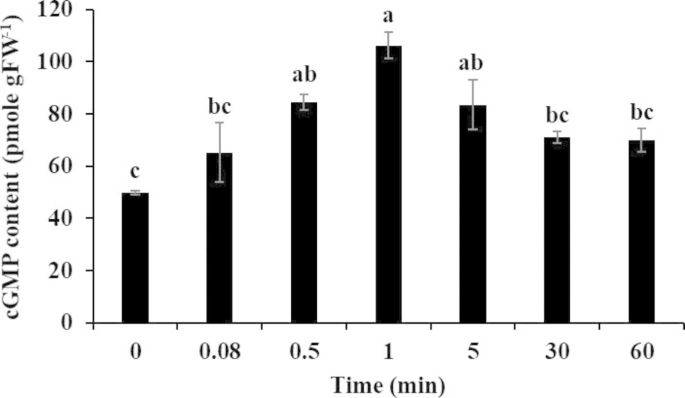 Cyclic guanosine monophosphate improves salt tolerance in Solanum lycopersicum.