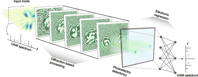 Intelligent optoelectronic processor for orbital angular momentum spectrum measurement