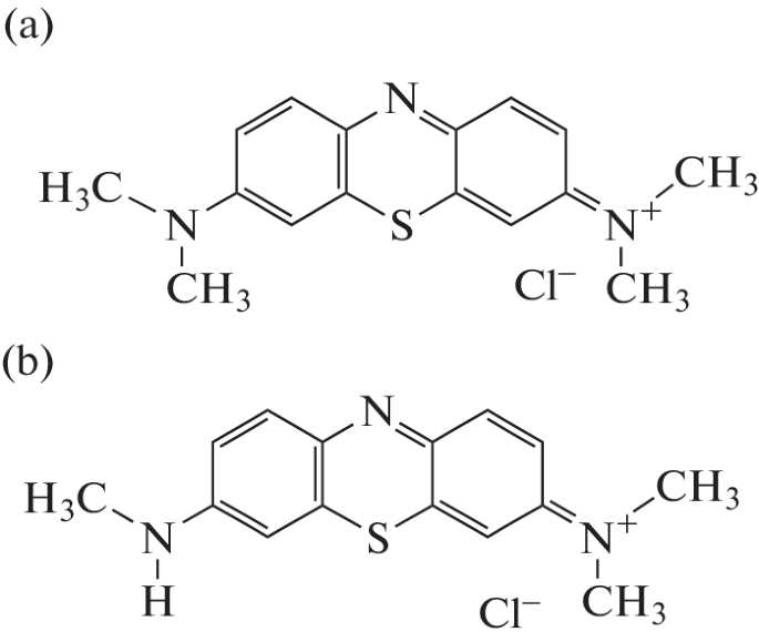 The Effect of Methylene Blue and Its Metabolite—Azure I—on Bioenergetic Parameters of Intact Mouse Brain Mitochondria