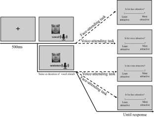 Attentional Relevance Modulates Nonverbal Attractiveness Perception in Multimodal Display