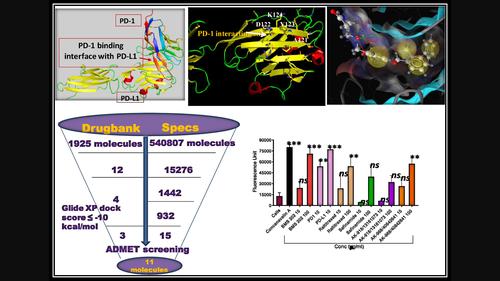 Identification of a PD1/PD-L1 inhibitor by structure-based pharmacophore modelling, virtual screening, molecular docking and biological evaluation.