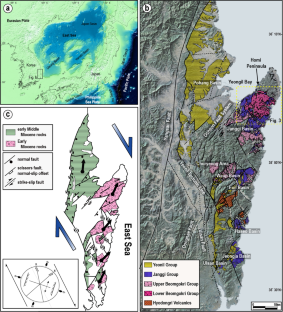 Incipient subsidence and subsequent clockwise rotation of the Miocene Janggi onshore basin, SE Korea, associated with the back-arc opening of East Sea