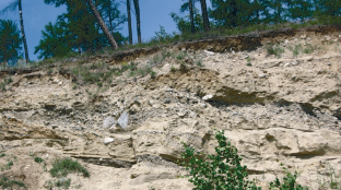 Age and Formation Mechanisms of Baikal Terraces