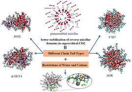 Steric effects stabilize reverse micelle domains in supercritical CO2 by determined conformation: restrictions of water and cations†