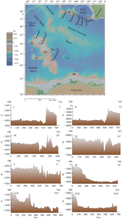 Structure Formation of the Southeast Indian Ridge at the Early Stages of Development: Physical Modeling