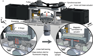 Open Source, In-Situ, Intermediate Strain-Rate Tensile Impact Device for Soft Materials and Cell Culture Systems