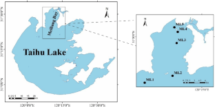 Significance of temperature control in nitrogen transformations in surface sediments of Taihu Lake, China