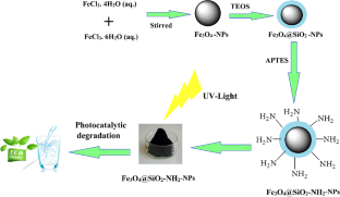 Design and preparation of amino-functionalized core-shell magnetic nanoparticles for photocatalytic application and investigation of cytotoxicity effects